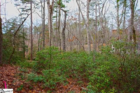 110 Trottingwolf Trl, Sunset, SC 29685 photo 25