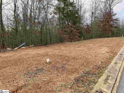 9 Pine Knot Dr, Pelzer, SC 29669 photo 1