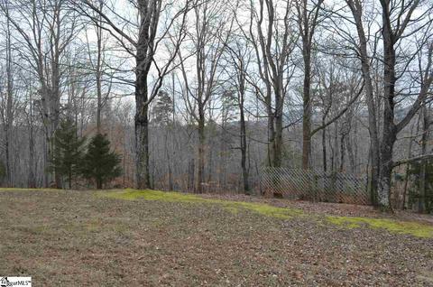 350 Cherokee Cir, Tryon, NC 28782 photo 29