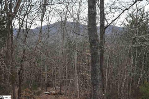 350 Cherokee Cir, Tryon, NC 28782 photo 30