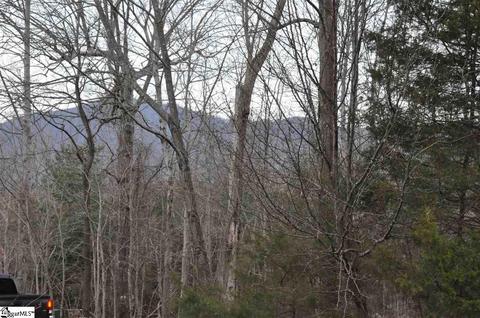 350 Cherokee Cir, Tryon, NC 28782 photo 31