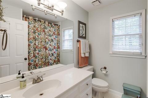 437 River Way Dr, Greer, SC 29651 photo 24