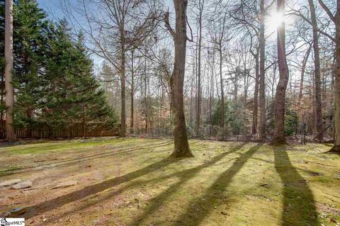 437 River Way Dr, Greer, SC 29651 photo 27
