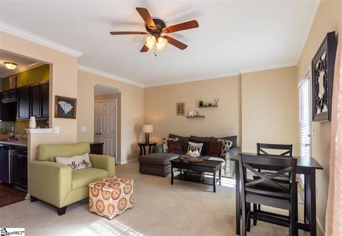 153 Spring Crossing Cir, Greer, SC 29650 photo 12