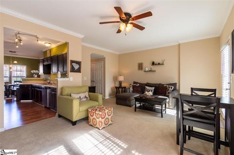 153 Spring Crossing Cir, Greer, SC 29650 photo 11