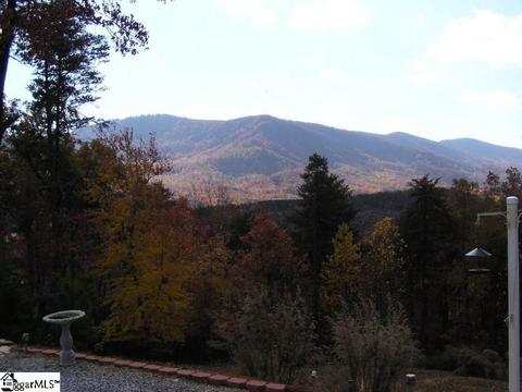 124 Winter Dr, Mill Spring, NC 28756 photo 4
