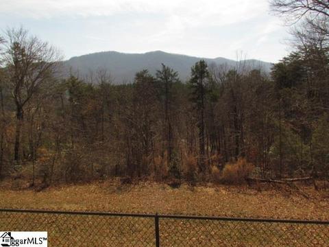 124 Winter Dr, Mill Spring, NC 28756 photo 9