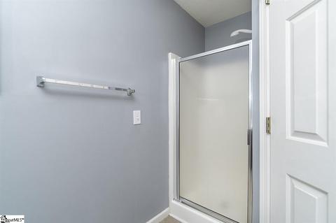 409 Juniper Leaf Way, Greer, SC 29651 photo 13