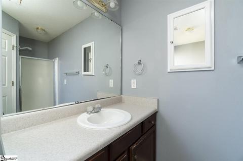 409 Juniper Leaf Way, Greer, SC 29651 photo 12