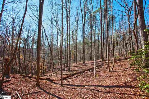 104 Running Bear Ln, Sunset, SC 29685 photo 26