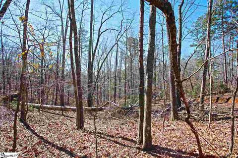 104 Running Bear Ln, Sunset, SC 29685 photo 29