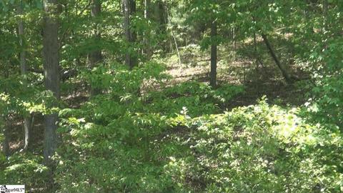 104 Running Bear Ln, Sunset, SC 29685 photo 10
