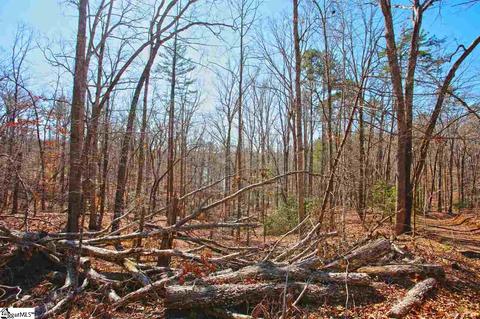 104 Running Bear Ln, Sunset, SC 29685 photo 28