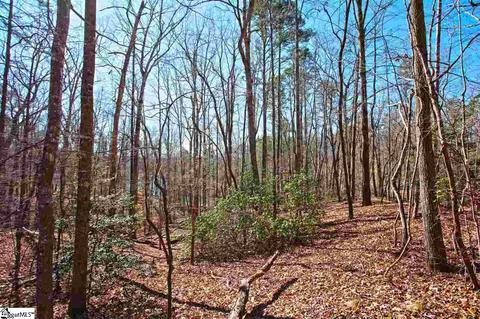 104 Running Bear Ln, Sunset, SC 29685 photo 27