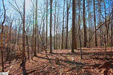 104 Running Bear Ln, Sunset, SC 29685 photo 25