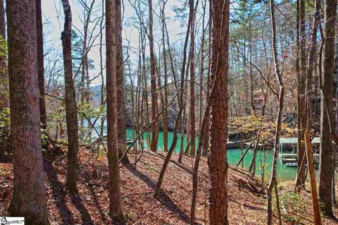 104 Running Bear Ln, Sunset, SC 29685 photo 19
