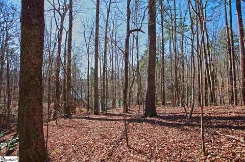 104 Running Bear Ln, Sunset, SC 29685 photo 24