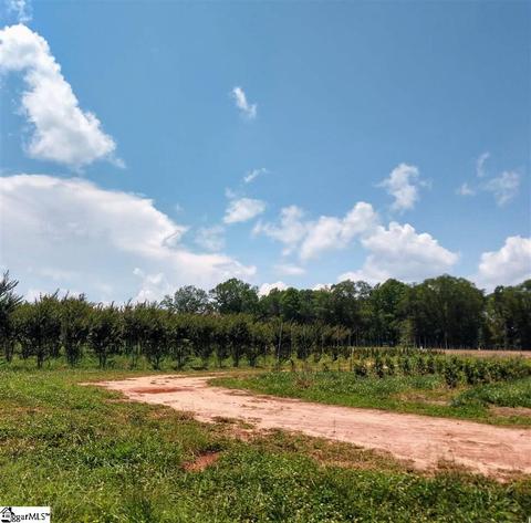 159 Murphy Rd, Lyman, SC 29365 photo 10