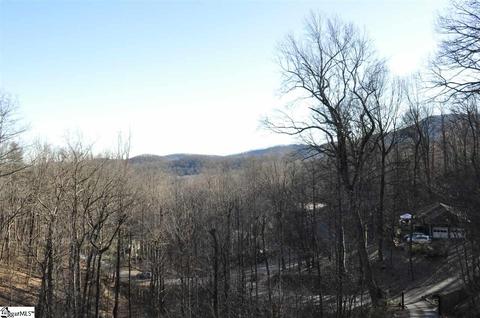218 E Park Dr, Tryon, NC 28782 photo 10