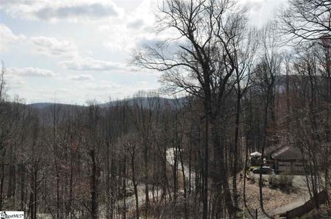 218 E Park Dr, Tryon, NC 28782 photo 11