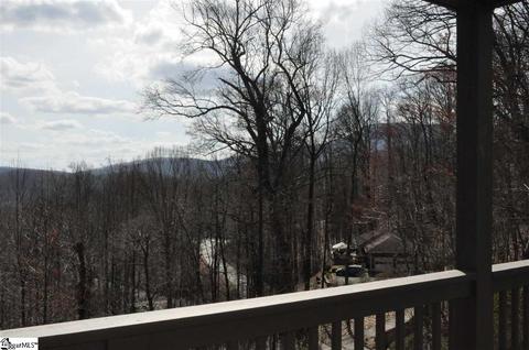 218 E Park Dr, Tryon, NC 28782 photo 12