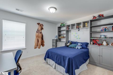 403 Blue Peak Ct, Greer, SC 29650 photo 25