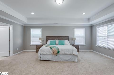 403 Blue Peak Ct, Greer, SC 29650 photo 19