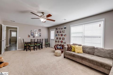403 Blue Peak Ct, Greer, SC 29650 photo 29