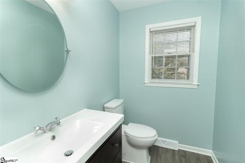 115 Saddle Tree Ct, Greer, SC 29650 photo 16