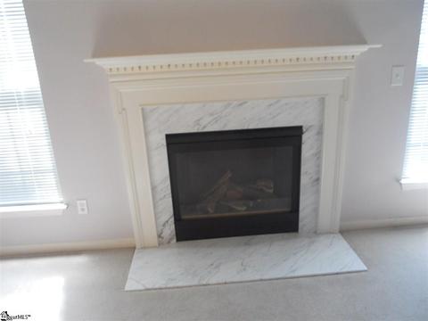 217 Highgate Cir, Greer, SC 29650 photo 4