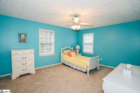 403 Hedgewood Ter, Greer, SC 29650 photo 24