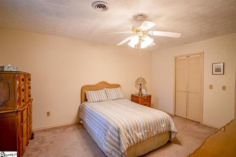 403 Hedgewood Ter, Greer, SC 29650 photo 19