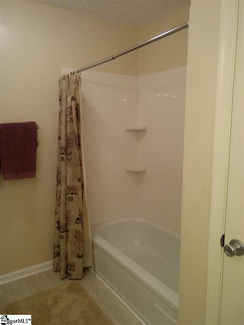 403 Hedgewood Ter, Greer, SC 29650 photo 29