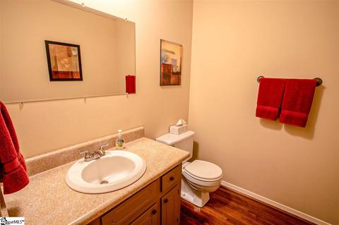 403 Hedgewood Ter, Greer, SC 29650 photo 34