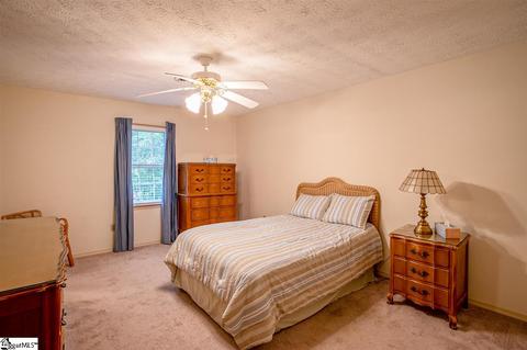 403 Hedgewood Ter, Greer, SC 29650 photo 20