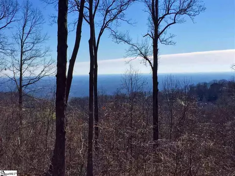 Indian Pipe Trail Lot 125, Landrum, SC 29356