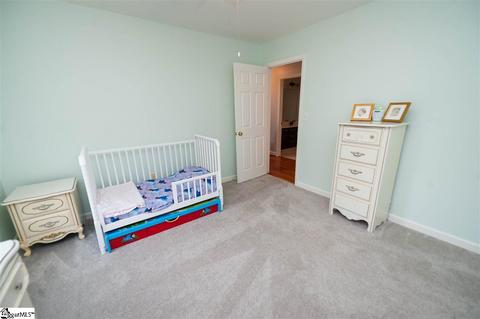 305 River Way Dr, Greer, SC 29651 photo 20