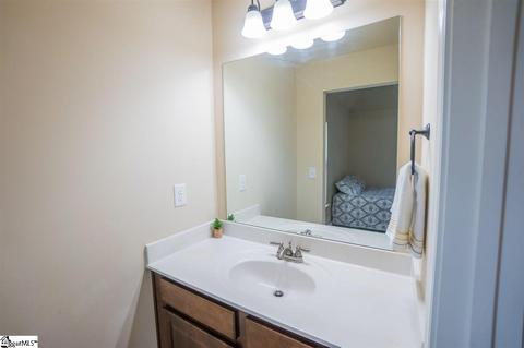 220 Sunnybrook Ln, Greer, SC 29650 photo 27