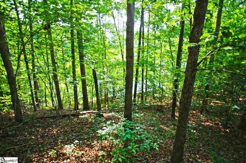 113 Cornsilk Way, Sunset, SC 29685 photo 8