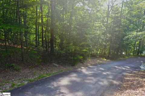 113 Cornsilk Way, Sunset, SC 29685 photo 27