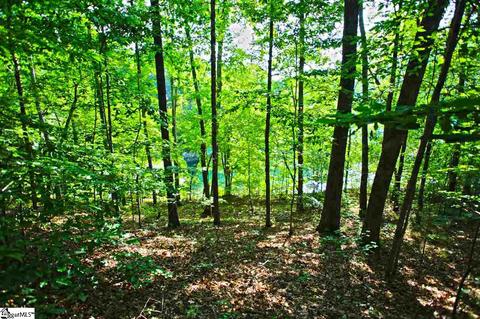 113 Cornsilk Way, Sunset, SC 29685 photo 11