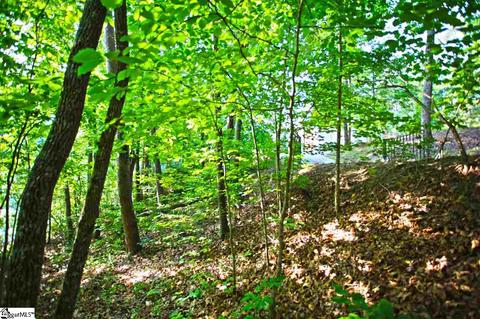 113 Cornsilk Way, Sunset, SC 29685 photo 19