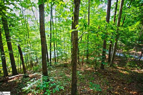 113 Cornsilk Way, Sunset, SC 29685 photo 9