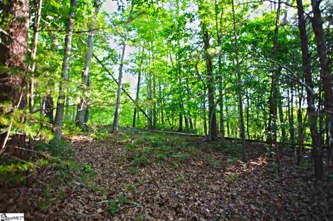 113 Cornsilk Way, Sunset, SC 29685 photo 4