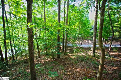 113 Cornsilk Way, Sunset, SC 29685 photo 10