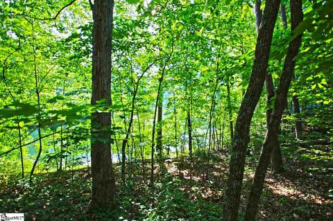 113 Cornsilk Way, Sunset, SC 29685 photo 17