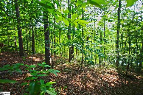 113 Cornsilk Way, Sunset, SC 29685 photo 5