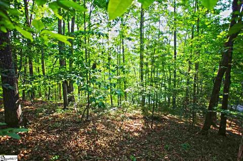 113 Cornsilk Way, Sunset, SC 29685 photo 6