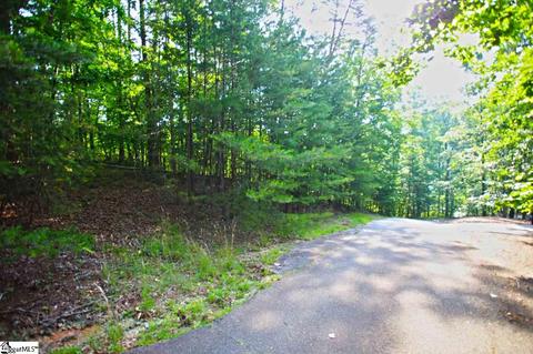 113 Cornsilk Way, Sunset, SC 29685 photo 3