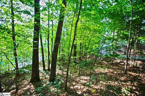 113 Cornsilk Way, Sunset, SC 29685 photo 13